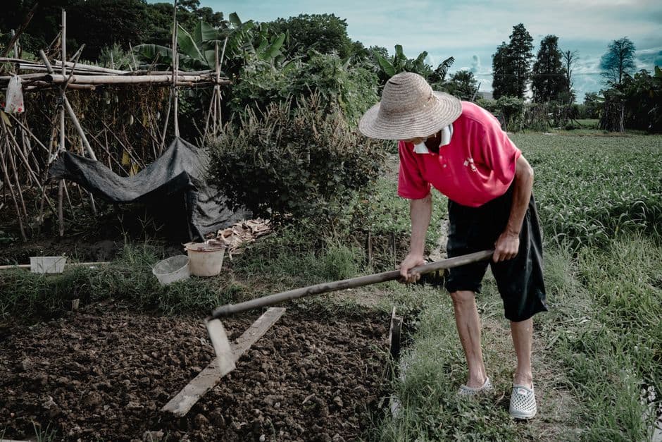 From the farm to your door: How our global food system exploits workers